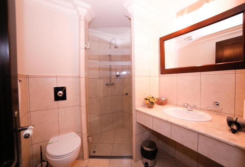 Номер Стандарт, Pension Noblesse