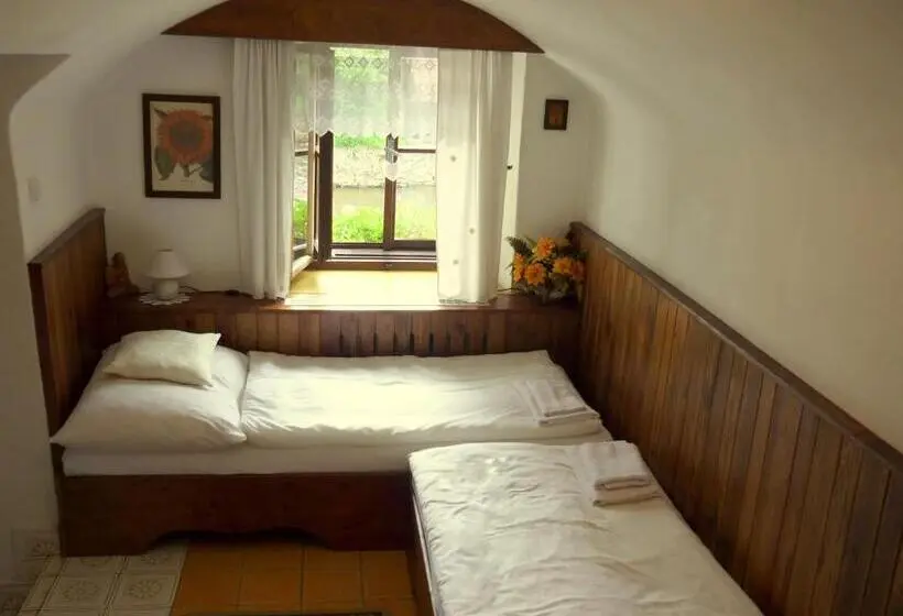 Standard Yhden Hengen Huone, Pension Plešivecká 119
