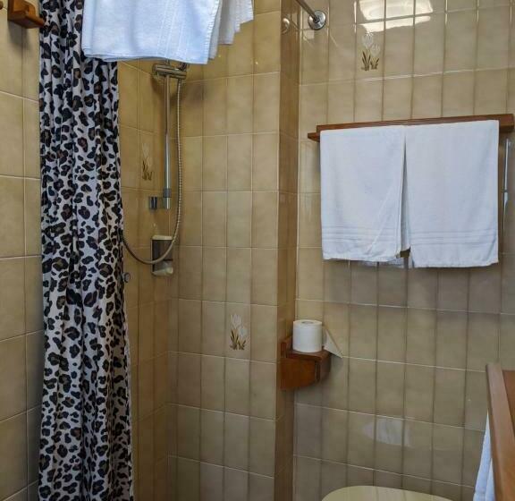 スタンダードルーム, Corallo