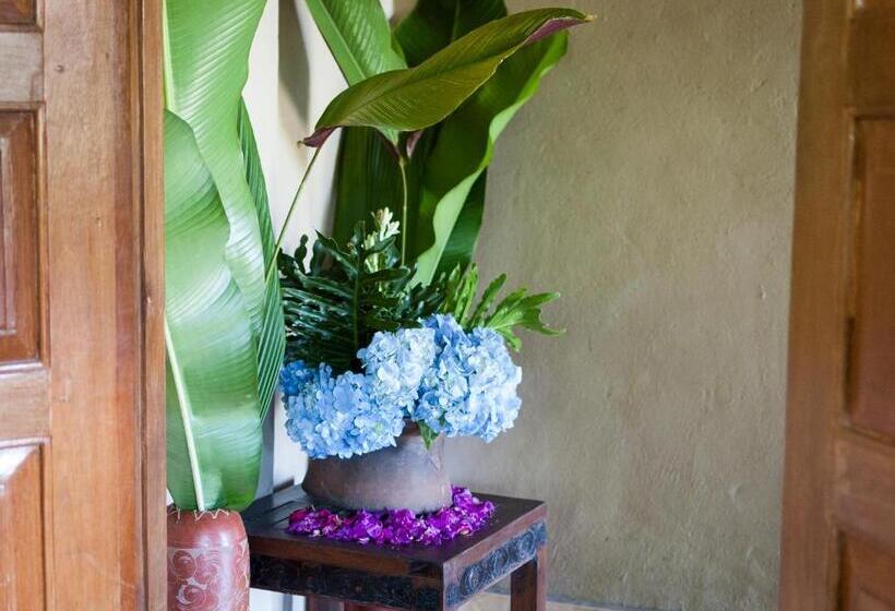 חדר סופריור עם מרפסת, Taman Rahasia Tropical Sanctuary And Spa