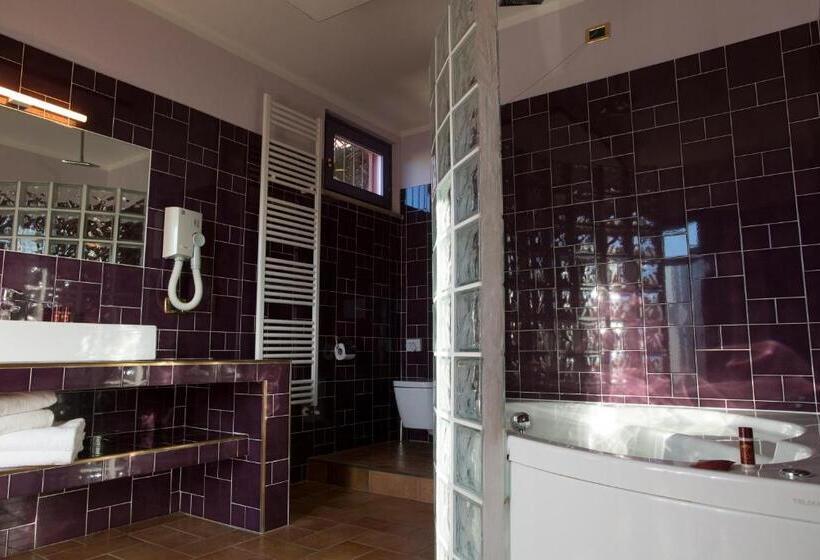 اتاق استاندارد با وان آب گرم, B&b 7 Vizi