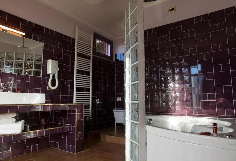 اتاق استاندارد با وان آب گرم, B&b 7 Vizi