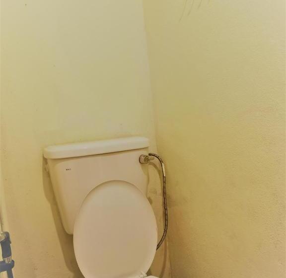 חדר משפחתי, Moontree47