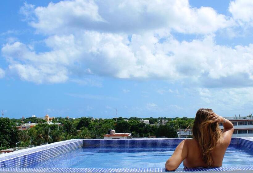 スタンダードルーム, Pal Cozumel