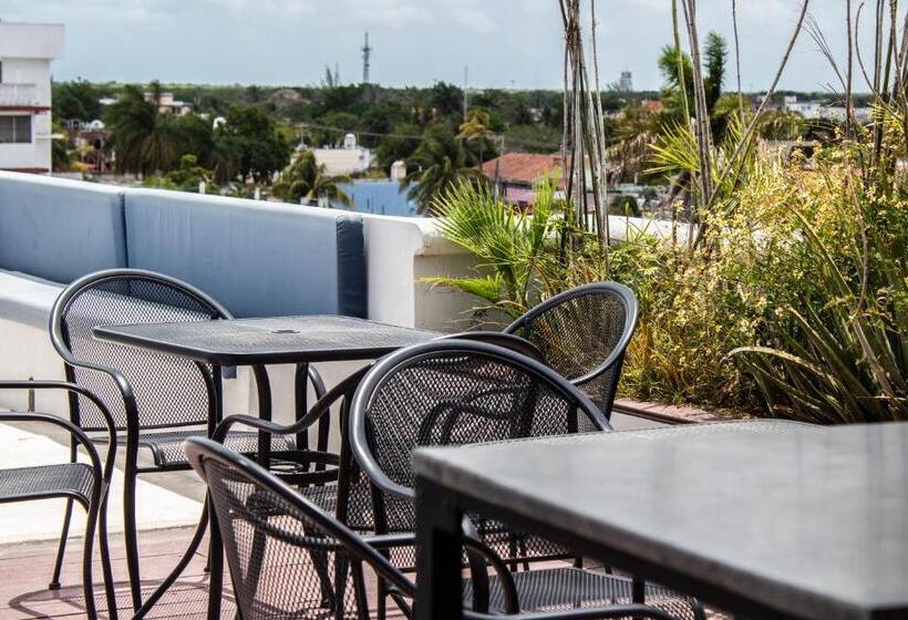 スタンダードルーム, Pal Cozumel