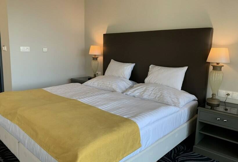 침실 1개 디럭스 아파트, Parkhotel Carlsbad Inn