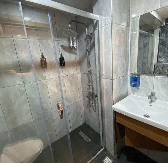 اتاق استاندارد, Green Palmiye