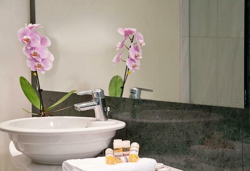 غرفة قياسية, Arion Athens