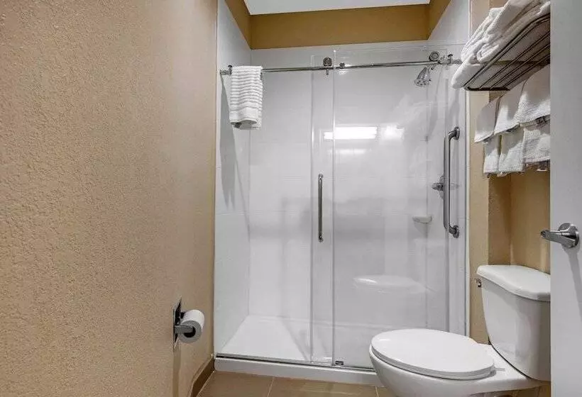 スイート, Comfort Inn & Suites Montgomery East Carmichael Rd