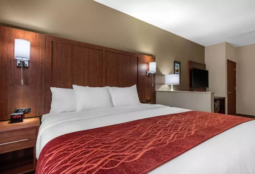 スイート, Comfort Inn & Suites Montgomery East Carmichael Rd