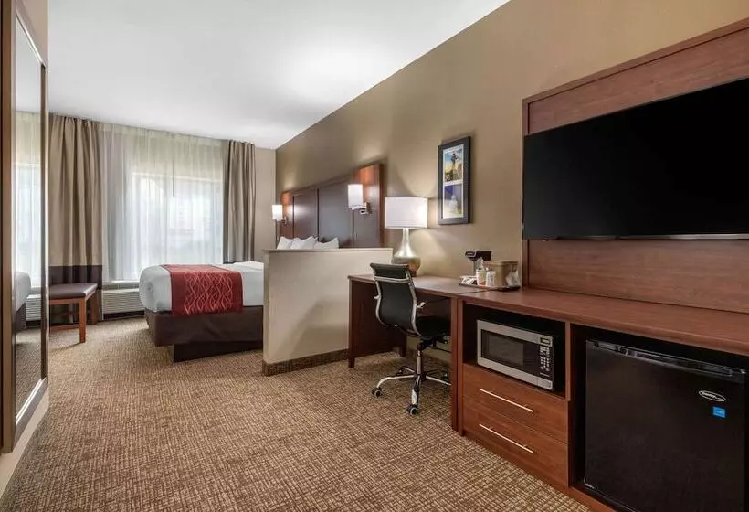 スイート, Comfort Inn & Suites Montgomery East Carmichael Rd