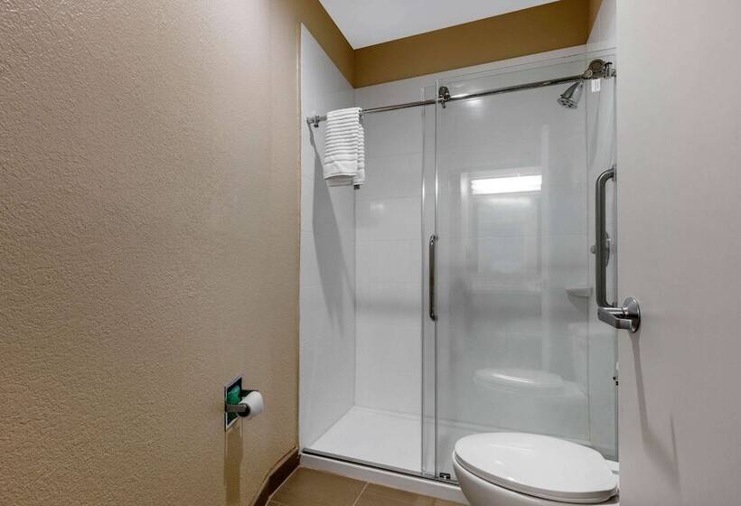 带大床的套房, Comfort Inn & Suites Montgomery East Carmichael Rd