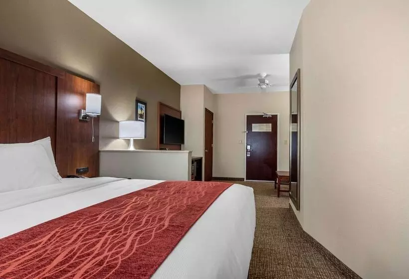 キングサイズベッドのスイートルーム, Comfort Inn & Suites Montgomery East Carmichael Rd