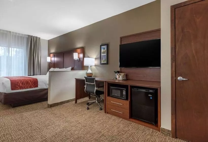 キングサイズベッドのスイートルーム, Comfort Inn & Suites Montgomery East Carmichael Rd