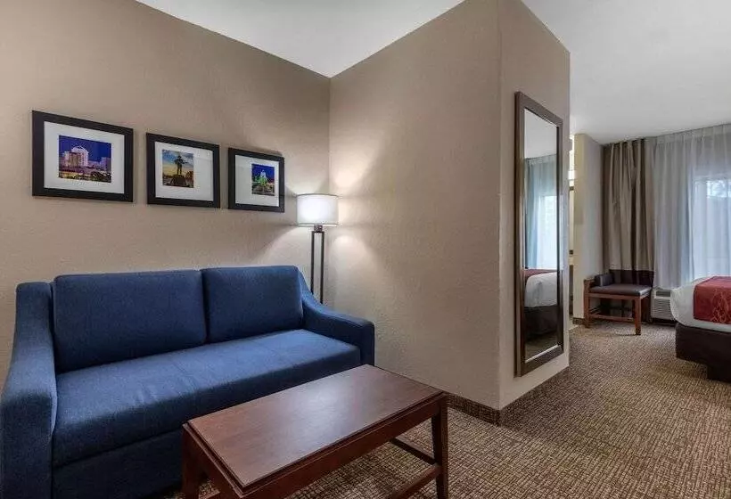 キングサイズベッドのスイートルーム, Comfort Inn & Suites Montgomery East Carmichael Rd