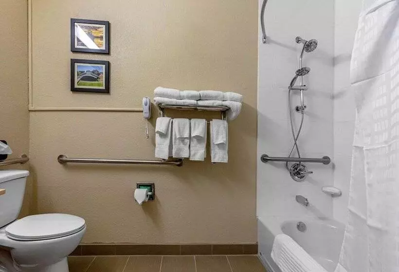身障者適用スイートルーム, Comfort Inn & Suites Montgomery East Carmichael Rd