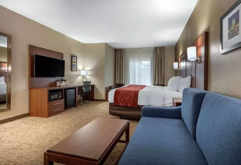 身障者適用スイートルーム, Comfort Inn & Suites Montgomery East Carmichael Rd