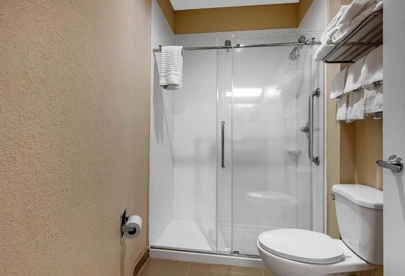 带大床的套房, Comfort Inn & Suites Montgomery East Carmichael Rd