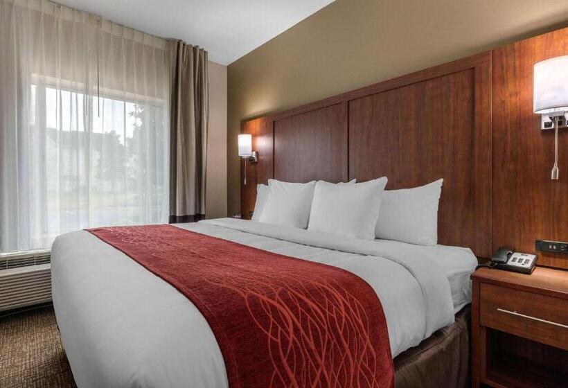 스위트 킹사이즈 침대, Comfort Inn & Suites Montgomery East Carmichael Rd