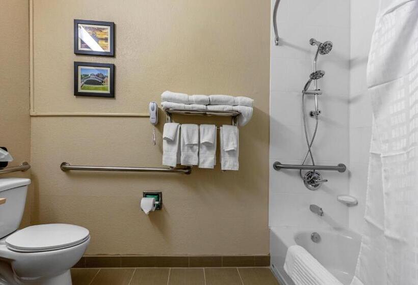 适合残疾人士使用的套间, Comfort Inn & Suites Montgomery East Carmichael Rd