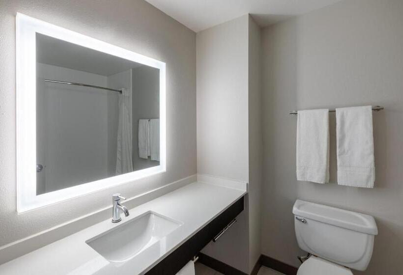 标准间, Holiday Inn Express Minden, An Ihg