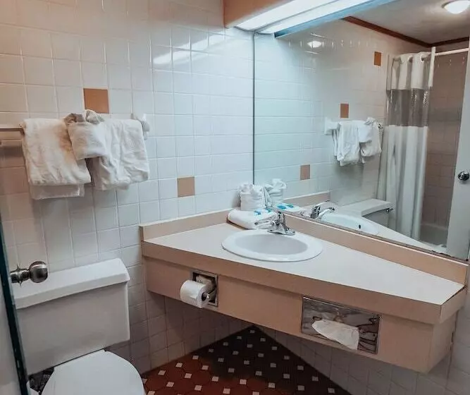 اتاق استاندارد, Lamplighter Inn And Suites  North