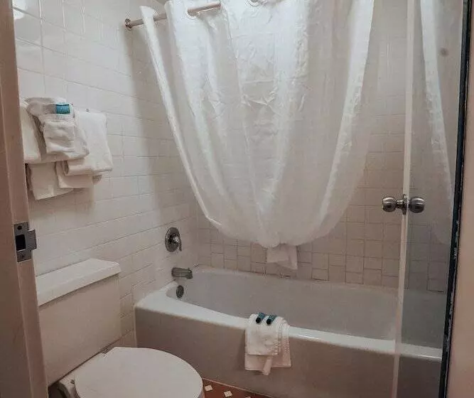 اتاق استاندارد, Lamplighter Inn And Suites  North