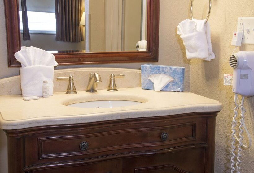 Номер Стандарт, Lamplighter Inn And Suites  North