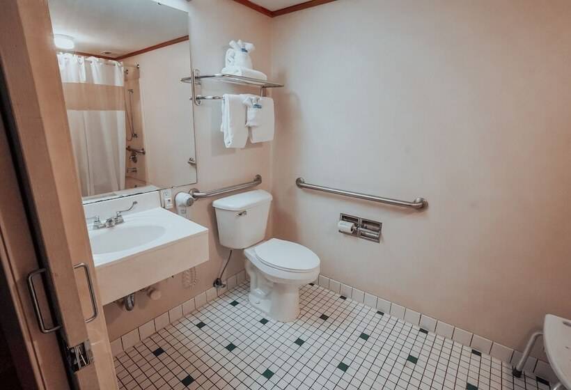 غرفة قياسية, Lamplighter Inn And Suites  North