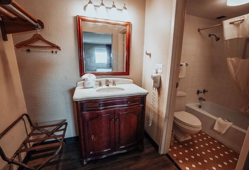 Номер Стандарт, Lamplighter Inn And Suites  North