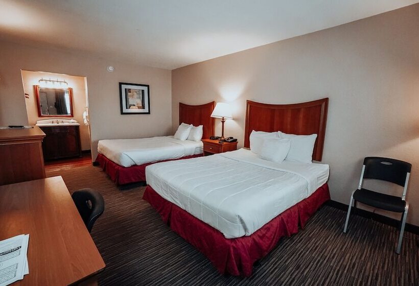 Номер Стандарт, Lamplighter Inn And Suites  North