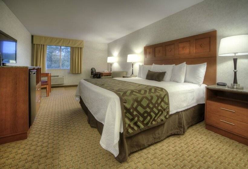 חדר דלוקס יחיד, Moab Valley Inn