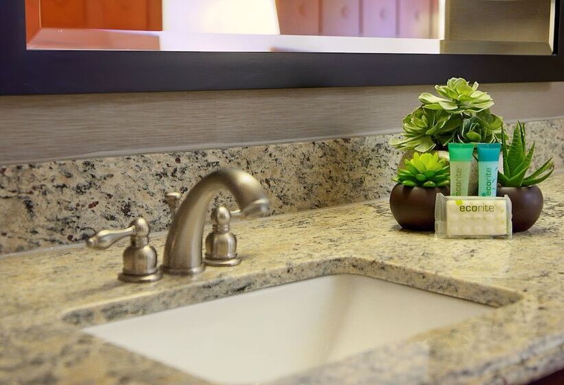 Одноместный Номер Стандарт Адаптированный для Инвалидов, Moab Valley Inn