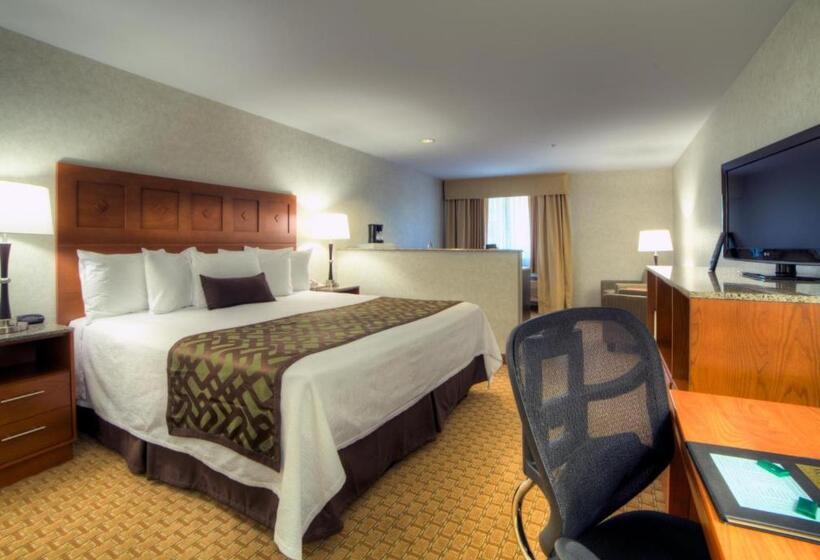 חדר דלוקס עם מיטת קינג, Moab Valley Inn