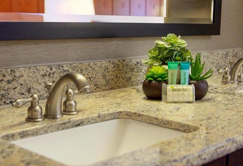 חדר דלוקס עם מיטת קינג, Moab Valley Inn