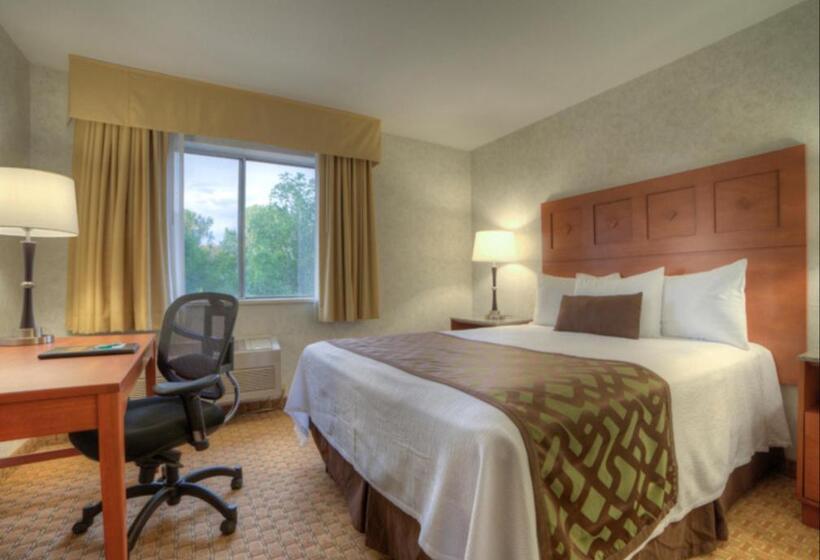 Одноместный Номер Стандарт Адаптированный для Инвалидов, Moab Valley Inn