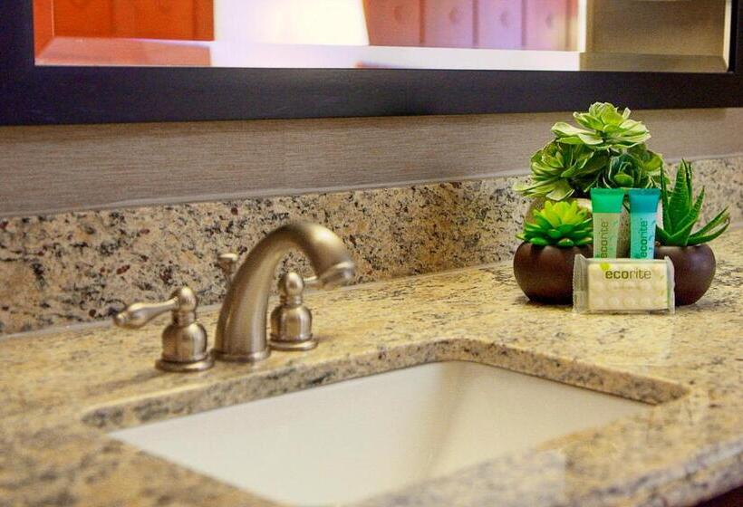 Президентский Люкс, Moab Valley Inn