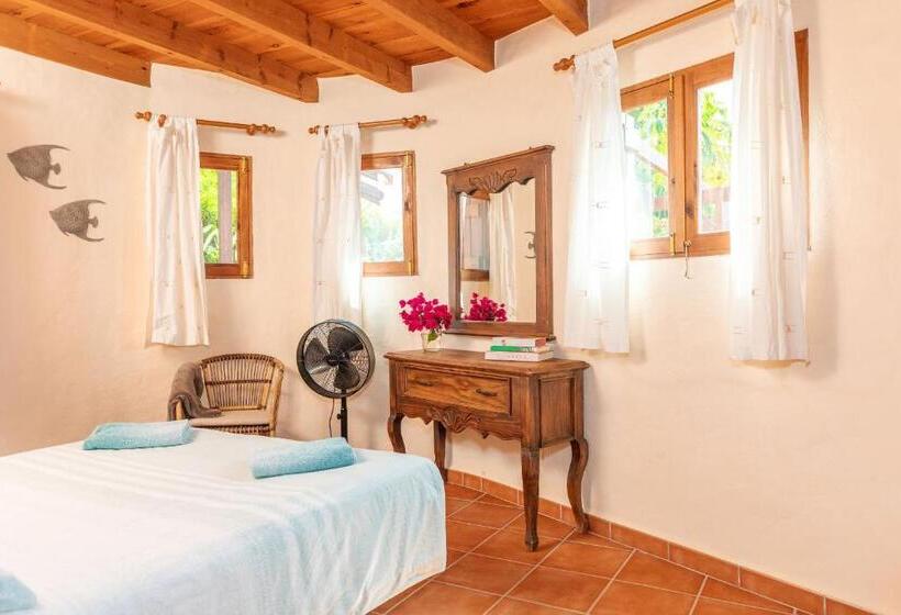 إستوديو قياسى مزودة بتراس, Surfescape Fuerteventura