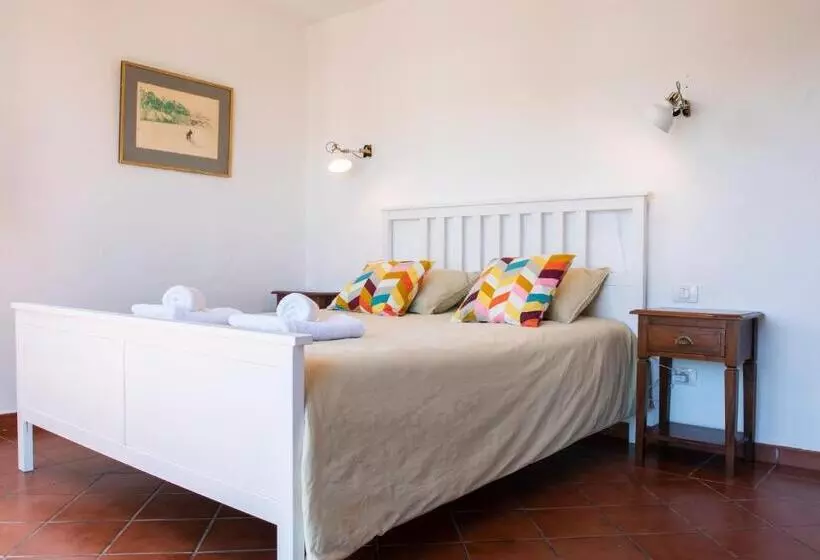 اتاق استاندارد, Surfescape Fuerteventura
