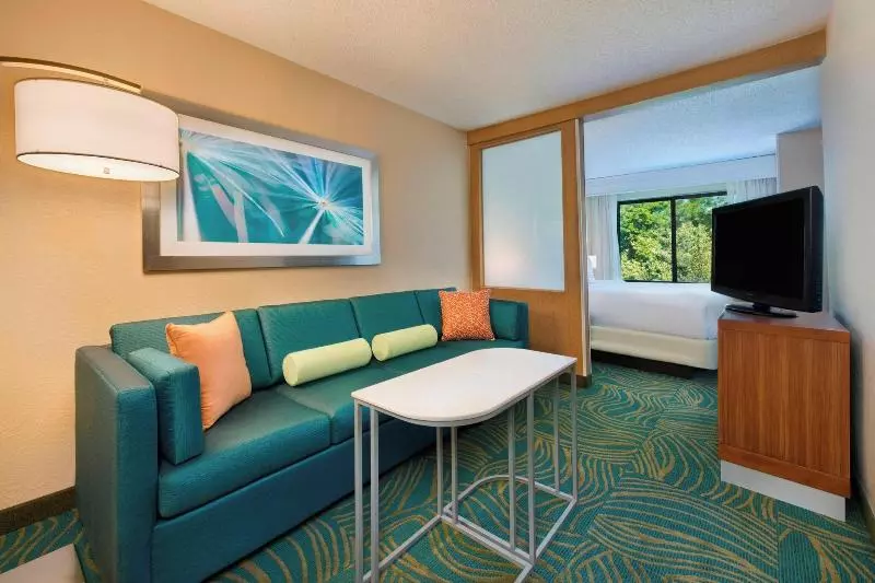 キングサイズベッドのスイートルーム, Springhill Suites Mishawaka University Area