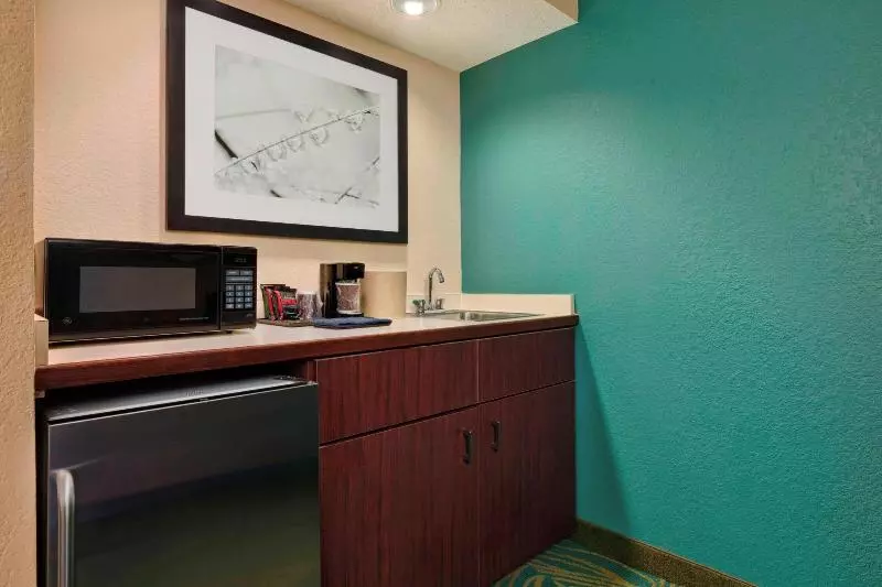 キングサイズベッドのスイートルーム, Springhill Suites Mishawaka University Area