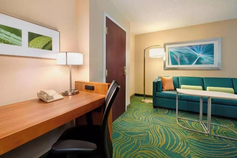 キングサイズベッドのスイートルーム, Springhill Suites Mishawaka University Area