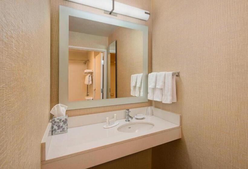 Люкс Кровать Кинг, Springhill Suites Mishawaka University Area