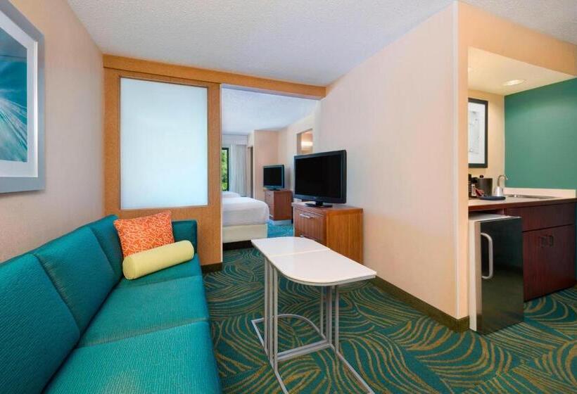 Люкс, Springhill Suites Mishawaka University Area