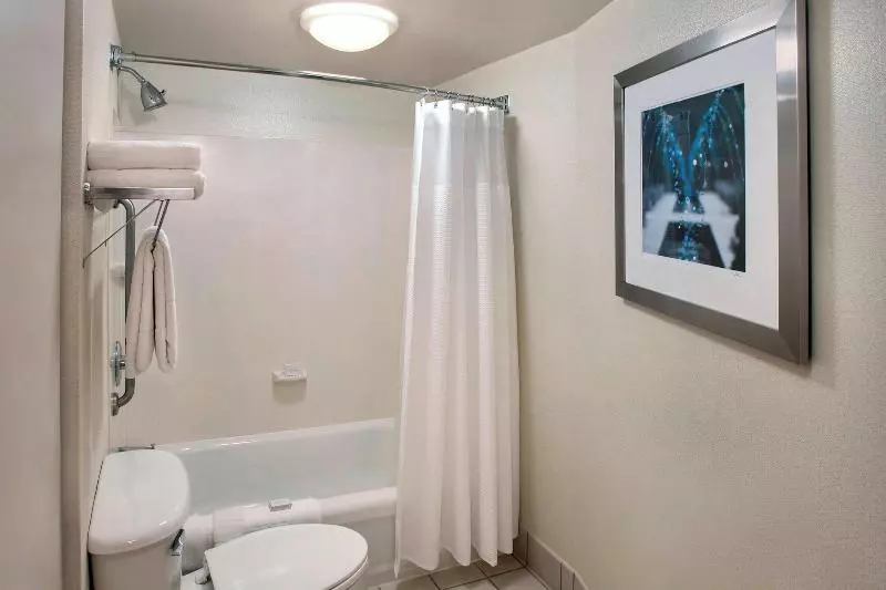 キングサイズベッドのスイートルーム, Springhill Suites By Marriott Philadelphia Willow Grove