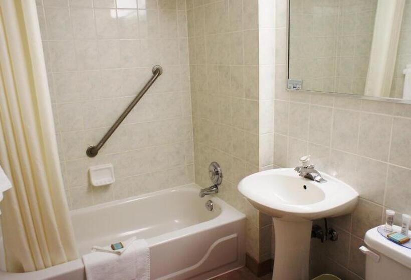 带大床的标准间, Travelodge By Wyndham Niagara Falls At The Falls