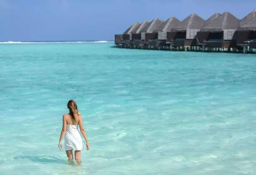 ویلای لوکس 1 خوابه, Taj Exotica Resort & Spa, Maldives