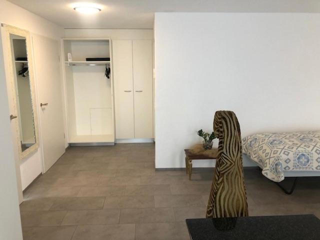 דירת חדר עם טרסה, Hippel Krone