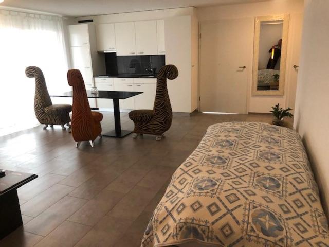 דירת חדר עם טרסה, Hippel Krone