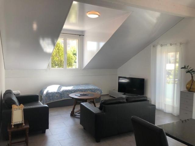 דירת חדר, Hippel Krone